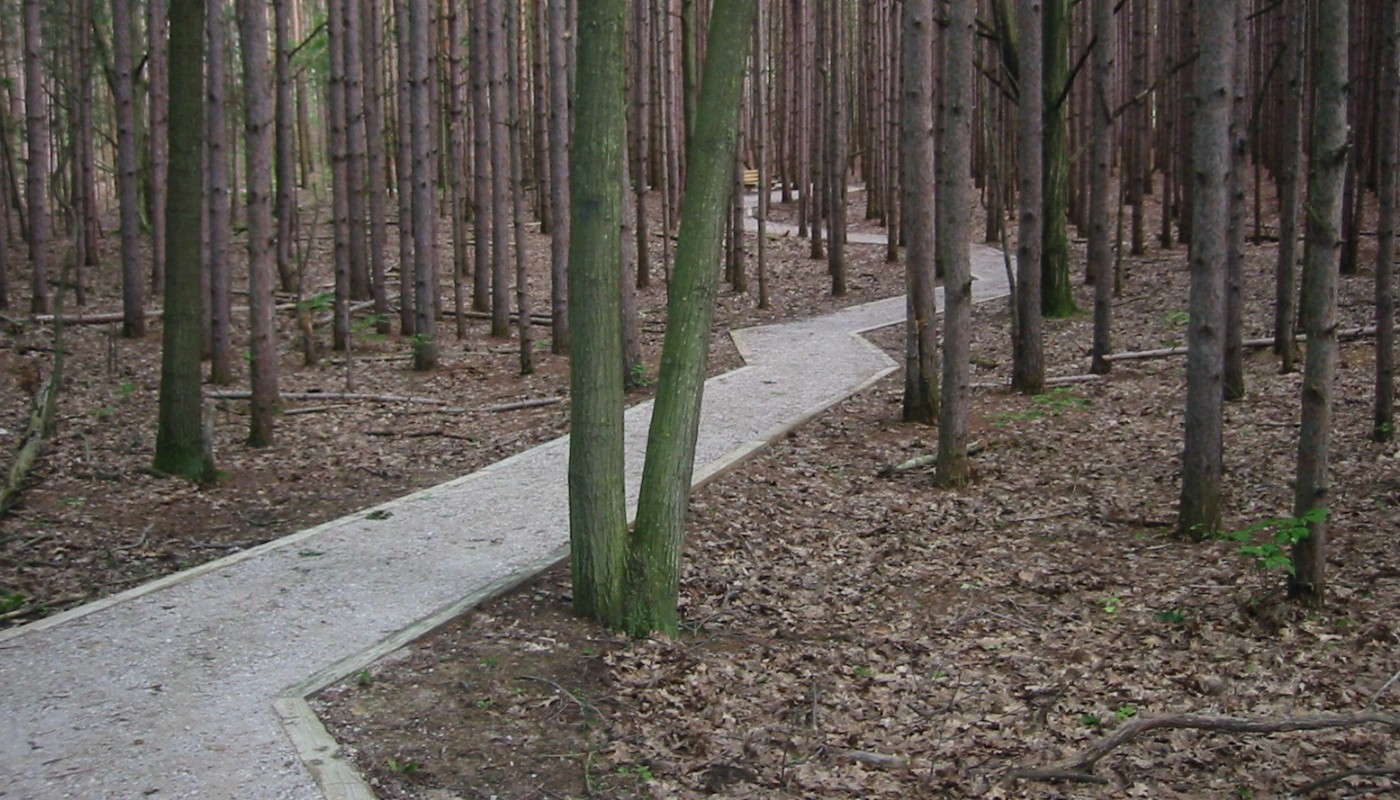 Rosy Mound