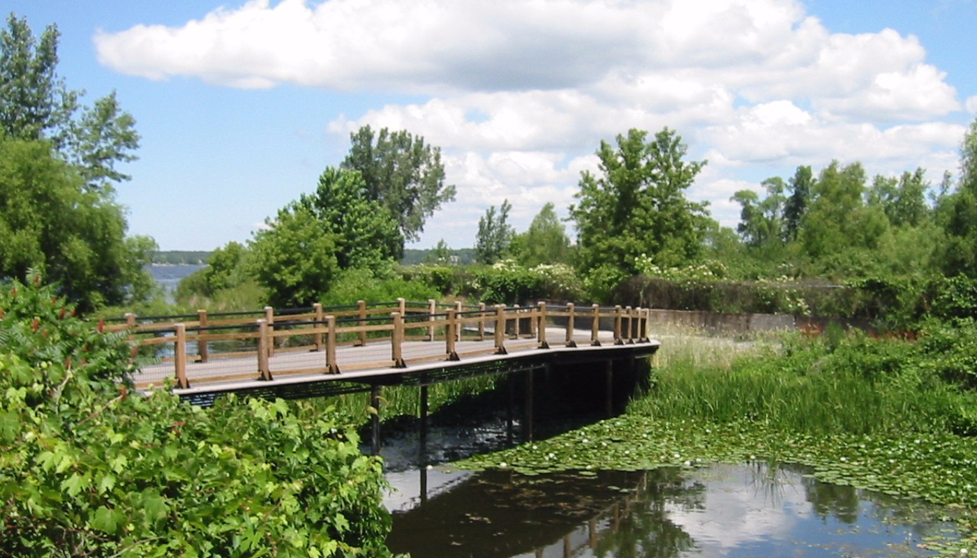 Lakeshore Trail