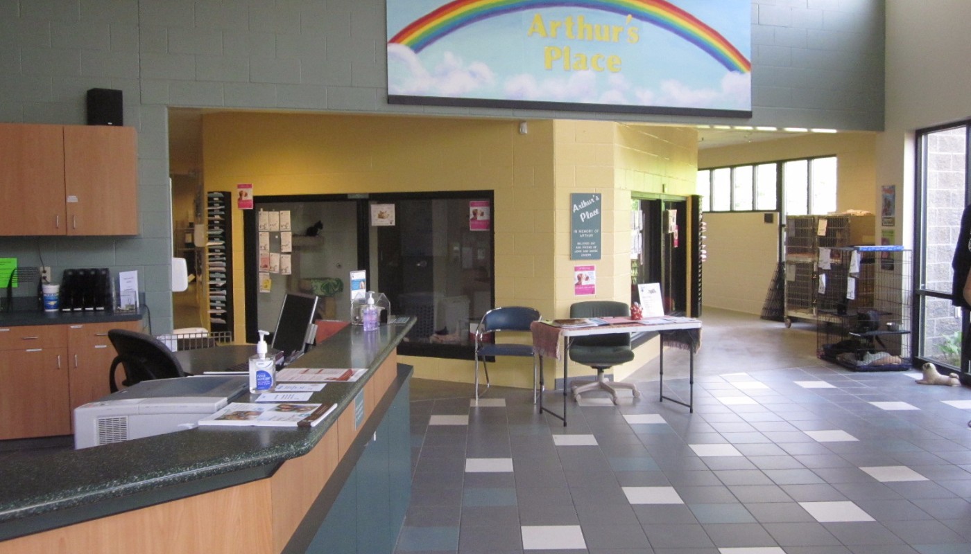 Kent County Humane Society 