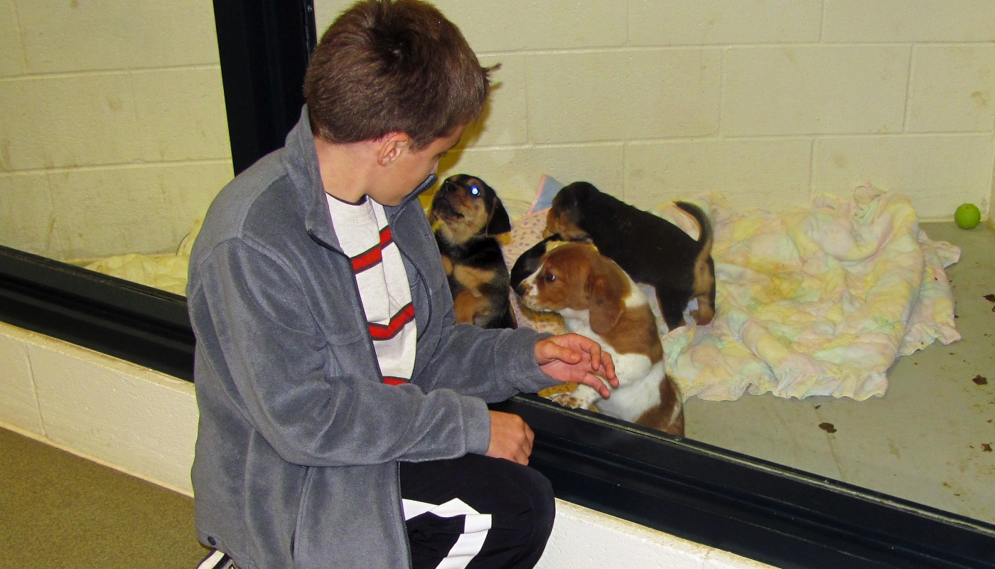 Kent County Humane Society 