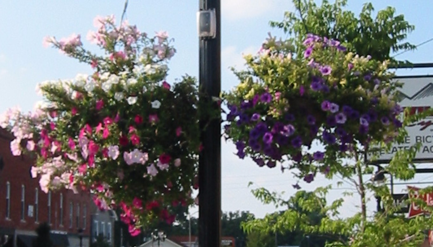 Schoolcraft Streetscape
