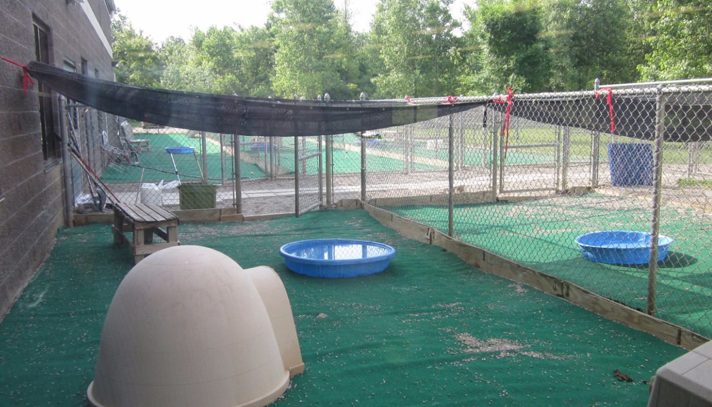 Kent County Humane Society 